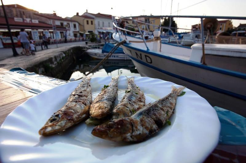 Apartments Jadranka Sain Novigrad Istria Habitación foto