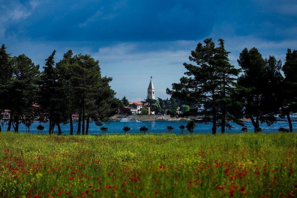 Apartments Jadranka Sain Novigrad Istria Habitación foto